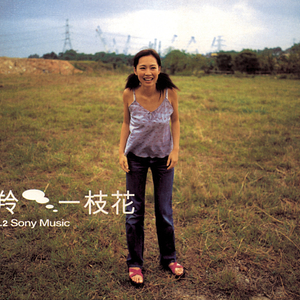 无码中字偷拍一区二区
