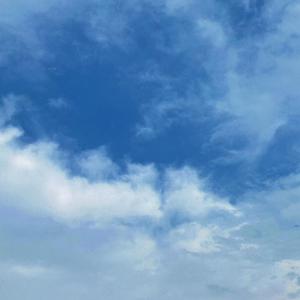 无码中字偷拍一区二区
