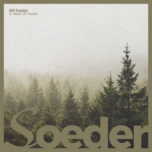 无码中字偷拍一区二区
